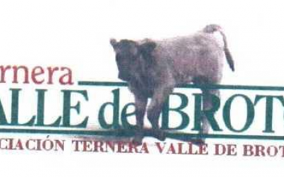 Ternera Valle de Broto
